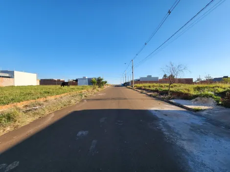 Comprar Terreno / Padr&atilde;o em Mirassol R$ 65.000,00 - Foto 6