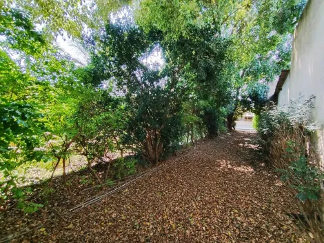 Alugar Rural / Ch&aacute;cara em Guapia&ccedil;u R$ 1.800,00 - Foto 7