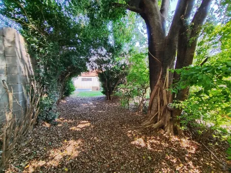 Alugar Rural / Ch&aacute;cara em Guapia&ccedil;u R$ 1.800,00 - Foto 34