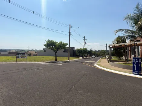 Comprar Terreno / Condom&iacute;nio em Bady Bassitt R$ 195.000,00 - Foto 2