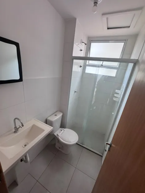 Alugar Apartamento / Padr&atilde;o em S&atilde;o Jos&eacute; do Rio Preto R$ 1.200,00 - Foto 8