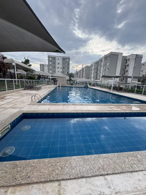 Alugar Apartamento / Padr&atilde;o em S&atilde;o Jos&eacute; do Rio Preto R$ 1.200,00 - Foto 12