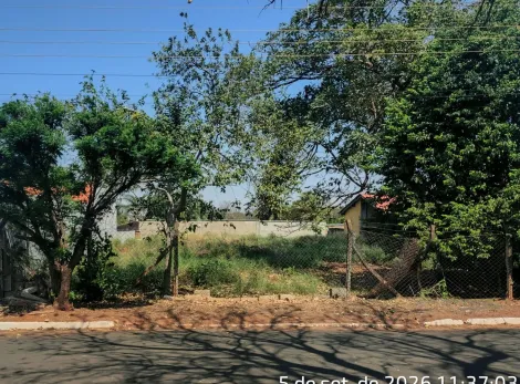 Fronteira - Santo Ant&ocirc;nio do Rio Grande - Terreno - Condom&iacute;nio - Venda