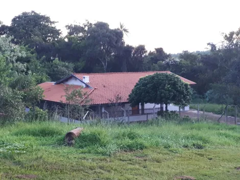 Franca - Prolongamento Vila Duque de Caxias - Rural - S&iacute;tio - Venda