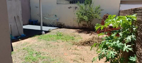 Comprar Casa / Padr&atilde;o em Cedral R$ 280.000,00 - Foto 13