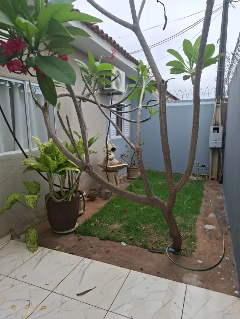Comprar Casa / Padr&atilde;o em S&atilde;o Jos&eacute; do Rio Preto R$ 380.000,00 - Foto 5