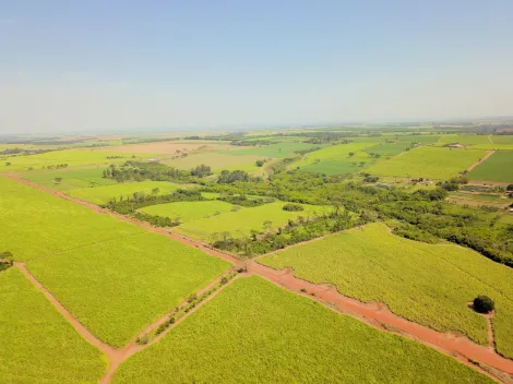 Comprar Rural / S&iacute;tio em Ol&iacute;mpia R$ 860.000,00 - Foto 2