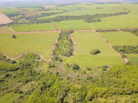 Comprar Rural / S&iacute;tio em Ol&iacute;mpia R$ 860.000,00 - Foto 3