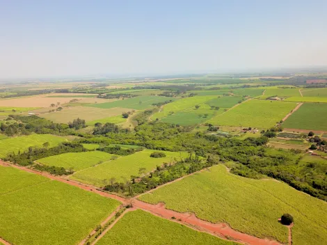 Comprar Rural / S&iacute;tio em Ol&iacute;mpia R$ 860.000,00 - Foto 4