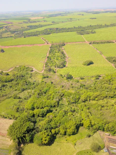Comprar Rural / S&iacute;tio em Ol&iacute;mpia R$ 860.000,00 - Foto 5
