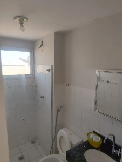 Alugar Apartamento / Padr&atilde;o em S&atilde;o Jos&eacute; do Rio Preto R$ 1.200,00 - Foto 11