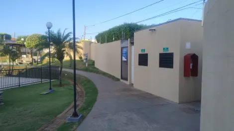 Alugar Apartamento / Padr&atilde;o em S&atilde;o Jos&eacute; do Rio Preto R$ 1.200,00 - Foto 24
