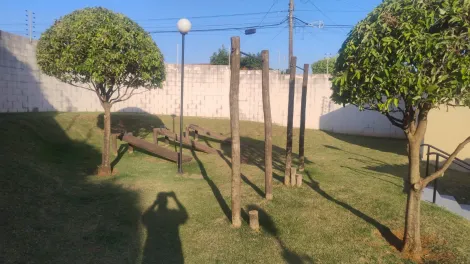 Alugar Apartamento / Padr&atilde;o em S&atilde;o Jos&eacute; do Rio Preto R$ 1.200,00 - Foto 28