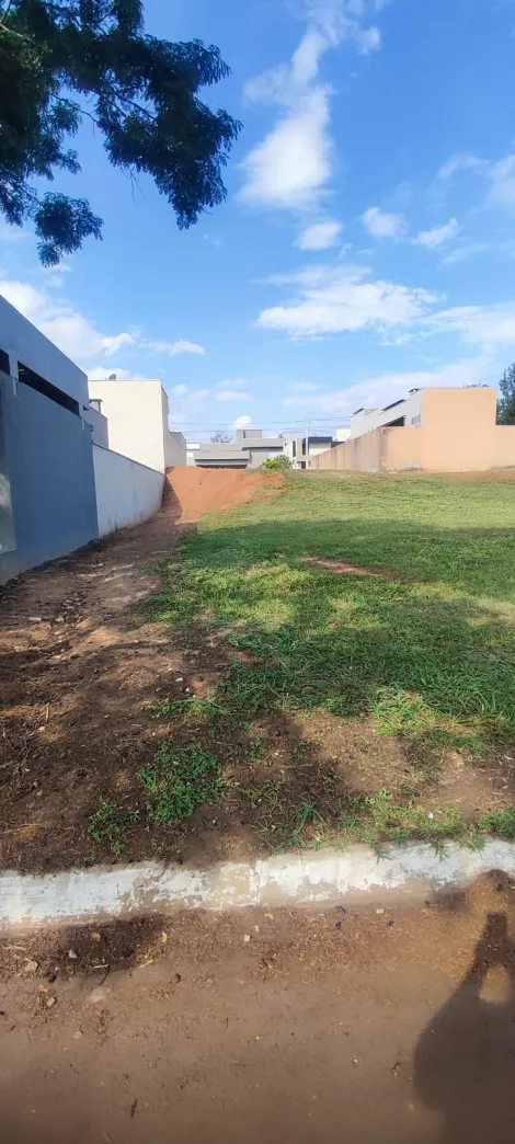 Comprar Terreno / Condom&iacute;nio em Bady Bassitt R$ 110.000,00 - Foto 2