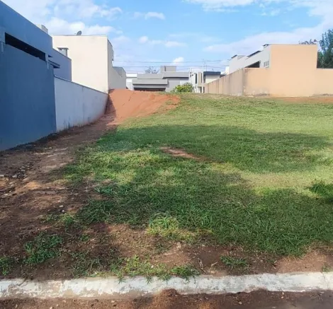 Comprar Terreno / Condom&iacute;nio em Bady Bassitt R$ 110.000,00 - Foto 3
