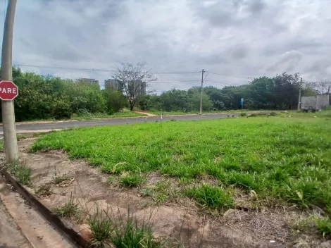 Alugar Terreno / Padr&atilde;o em S&atilde;o Jos&eacute; do Rio Preto. apenas R$ 210.000,00