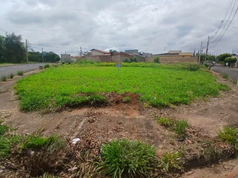 Comprar Terreno / Padr&atilde;o em S&atilde;o Jos&eacute; do Rio Preto R$ 210.000,00 - Foto 3