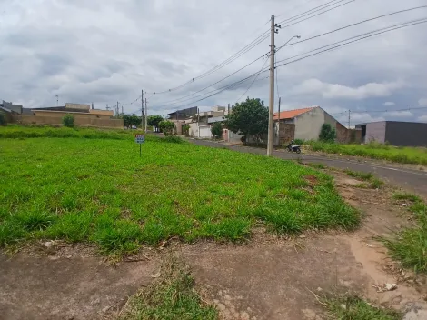 Comprar Terreno / Padr&atilde;o em S&atilde;o Jos&eacute; do Rio Preto R$ 210.000,00 - Foto 4