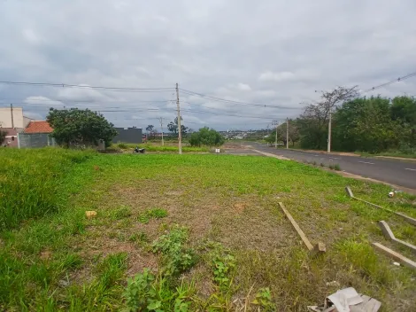 Comprar Terreno / Padr&atilde;o em S&atilde;o Jos&eacute; do Rio Preto R$ 210.000,00 - Foto 7
