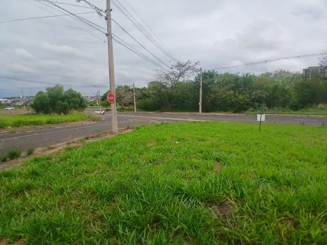Comprar Terreno / Padr&atilde;o em S&atilde;o Jos&eacute; do Rio Preto R$ 210.000,00 - Foto 11