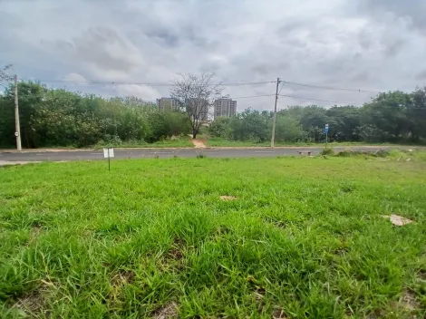 Comprar Terreno / Padr&atilde;o em S&atilde;o Jos&eacute; do Rio Preto R$ 210.000,00 - Foto 12