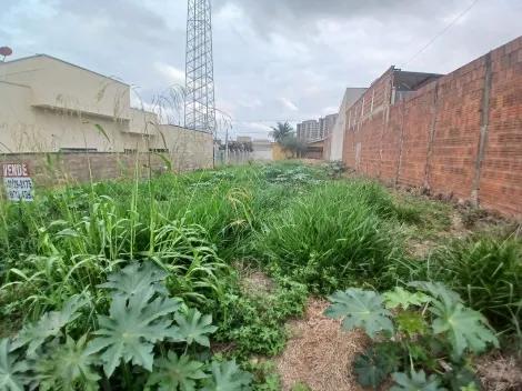 Comprar Terreno / Padr&atilde;o em S&atilde;o Jos&eacute; do Rio Preto R$ 120.000,00 - Foto 4