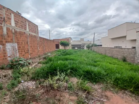 Comprar Terreno / Padr&atilde;o em S&atilde;o Jos&eacute; do Rio Preto R$ 120.000,00 - Foto 6
