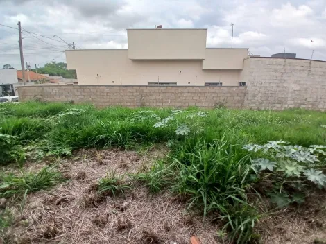 Comprar Terreno / Padr&atilde;o em S&atilde;o Jos&eacute; do Rio Preto R$ 120.000,00 - Foto 8