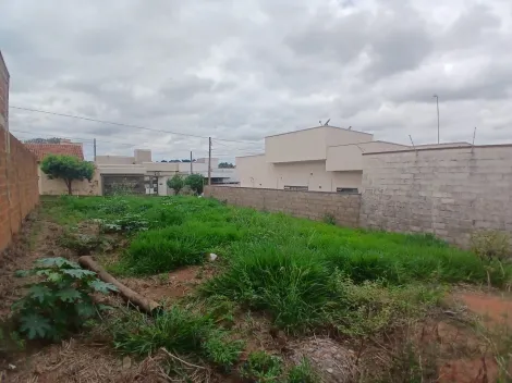 Comprar Terreno / Padr&atilde;o em S&atilde;o Jos&eacute; do Rio Preto R$ 120.000,00 - Foto 9