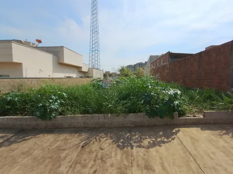 Comprar Terreno / Padr&atilde;o em S&atilde;o Jos&eacute; do Rio Preto R$ 120.000,00 - Foto 15