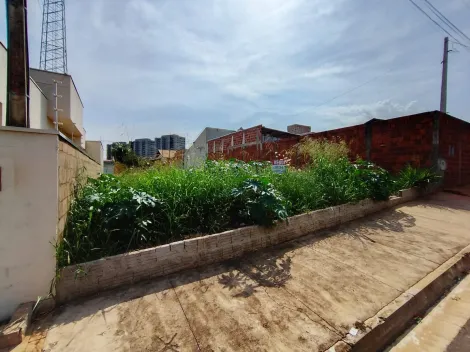 Comprar Terreno / Padr&atilde;o em S&atilde;o Jos&eacute; do Rio Preto R$ 120.000,00 - Foto 16