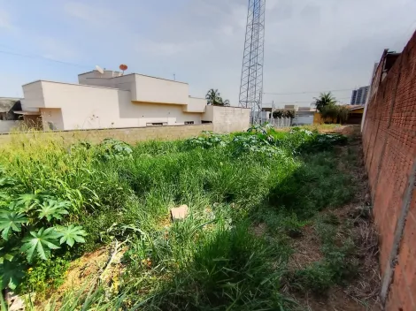 Comprar Terreno / Padr&atilde;o em S&atilde;o Jos&eacute; do Rio Preto R$ 120.000,00 - Foto 18