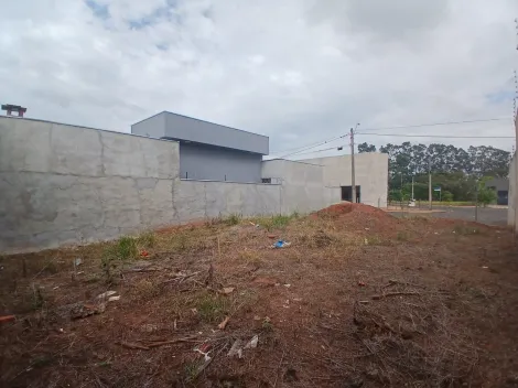Comprar Terreno / Padr&atilde;o em S&atilde;o Jos&eacute; do Rio Preto R$ 105.000,00 - Foto 3
