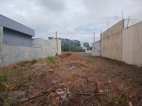 Comprar Terreno / Padr&atilde;o em S&atilde;o Jos&eacute; do Rio Preto R$ 105.000,00 - Foto 4