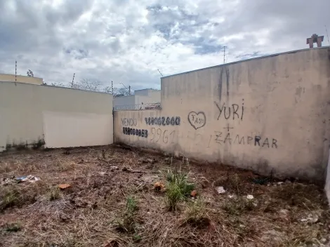 Comprar Terreno / Padr&atilde;o em S&atilde;o Jos&eacute; do Rio Preto R$ 105.000,00 - Foto 10