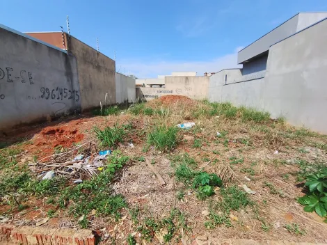 Comprar Terreno / Padr&atilde;o em S&atilde;o Jos&eacute; do Rio Preto R$ 105.000,00 - Foto 14