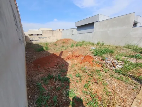 Comprar Terreno / Padr&atilde;o em S&atilde;o Jos&eacute; do Rio Preto R$ 105.000,00 - Foto 15