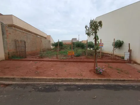 Bady Bassitt Residencial Menezes Terreno Venda R$90.000,00  Area do terreno 220.00m2 