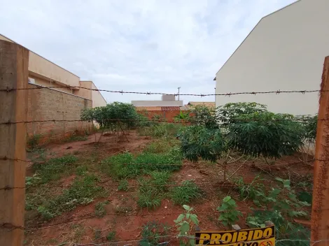 Comprar Terreno / Padr&atilde;o em Bady Bassitt R$ 90.000,00 - Foto 4
