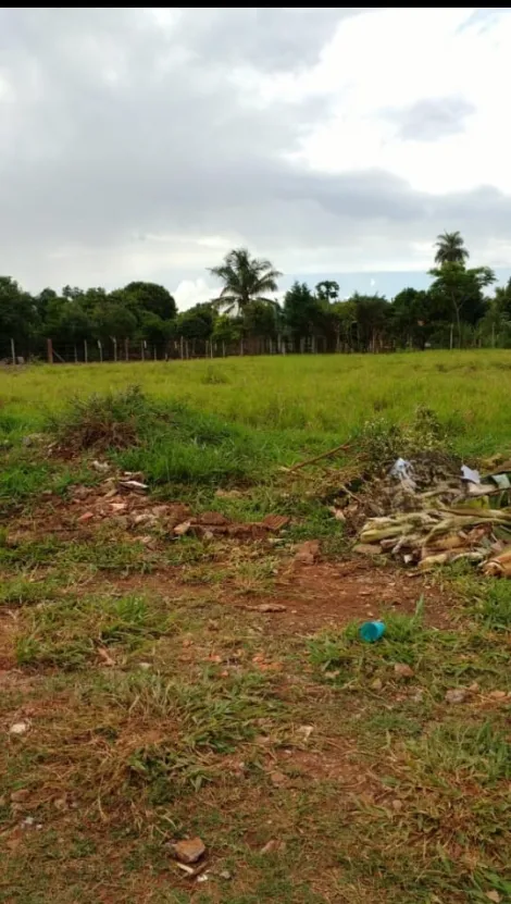 Comprar Terreno / &Aacute;rea em S&atilde;o Jos&eacute; do Rio Preto R$ 115.000,00 - Foto 3