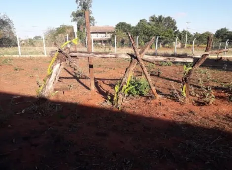 Comprar Terreno / &Aacute;rea em S&atilde;o Jos&eacute; do Rio Preto R$ 115.000,00 - Foto 2