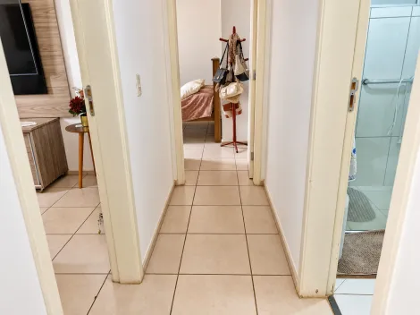 Alugar Apartamento / Padr&atilde;o em S&atilde;o Jos&eacute; do Rio Preto R$ 1.320,00 - Foto 4