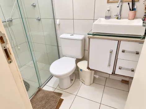 Alugar Apartamento / Padr&atilde;o em S&atilde;o Jos&eacute; do Rio Preto R$ 1.320,00 - Foto 6