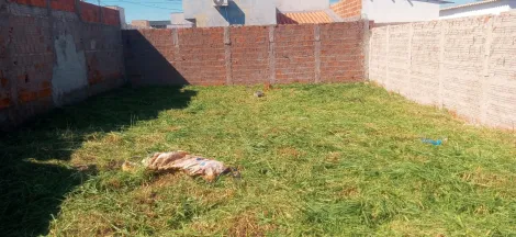 Comprar Terreno / Padr&atilde;o em S&atilde;o Jos&eacute; do Rio Preto R$ 112.000,00 - Foto 2