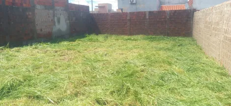 Comprar Terreno / Padr&atilde;o em S&atilde;o Jos&eacute; do Rio Preto R$ 112.000,00 - Foto 4