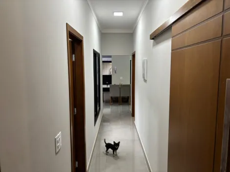 Comprar Casa / Padr&atilde;o em Mirassol R$ 550.000,00 - Foto 7