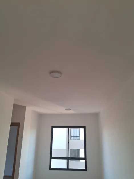 Alugar Apartamento / Padr&atilde;o em S&atilde;o Jos&eacute; do Rio Preto R$ 1.600,00 - Foto 5
