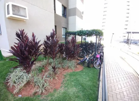 Alugar Apartamento / Padr&atilde;o em S&atilde;o Jos&eacute; do Rio Preto R$ 1.600,00 - Foto 13
