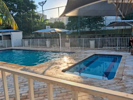 Alugar Apartamento / Padr&atilde;o em S&atilde;o Jos&eacute; do Rio Preto R$ 1.100,00 - Foto 18