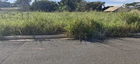 Alugar Terreno / Padr&atilde;o em S&atilde;o Jos&eacute; do Rio Preto. apenas R$ 645.000,00